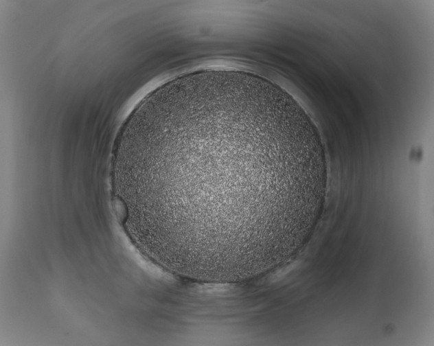 X0000112520853200908241443