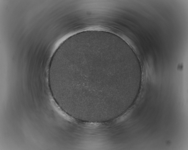 X0000112520854200908241443