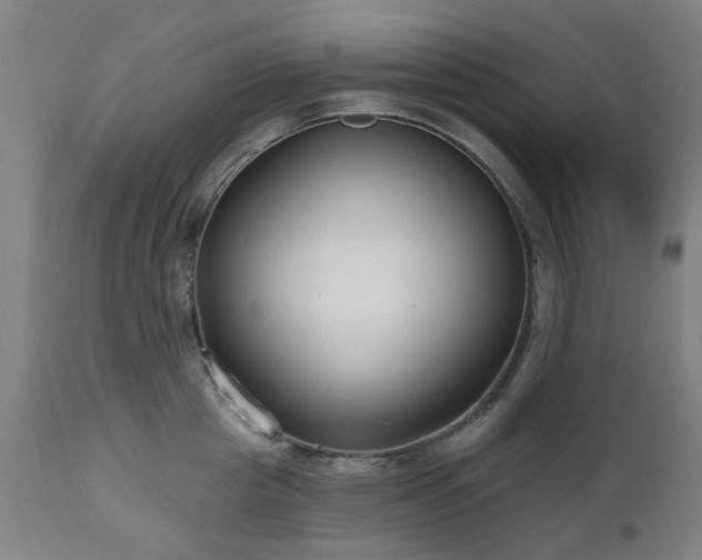 X0000112520857200908241443