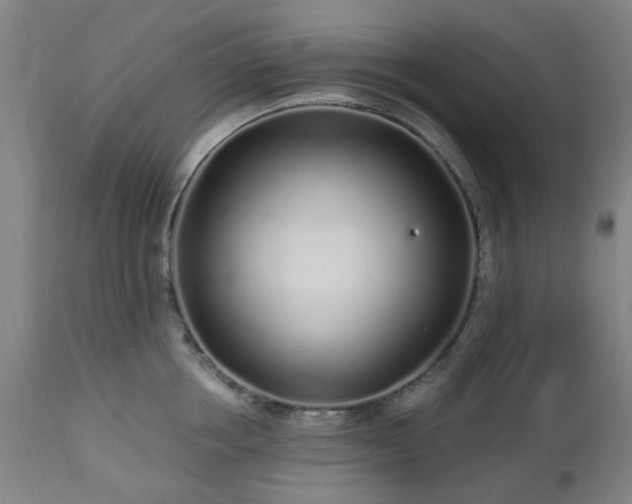 X0000112520858200908241443