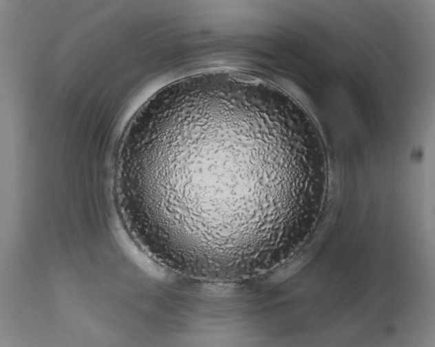 X0000112520859200908241443