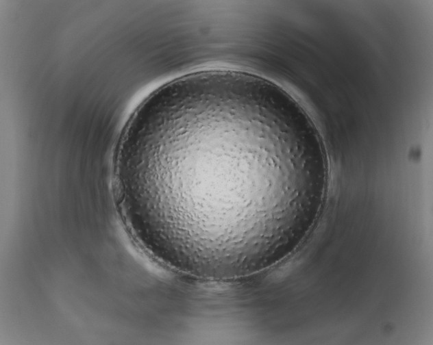 X0000112520862200908241443