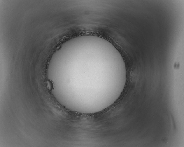 X0000112520865200908241442