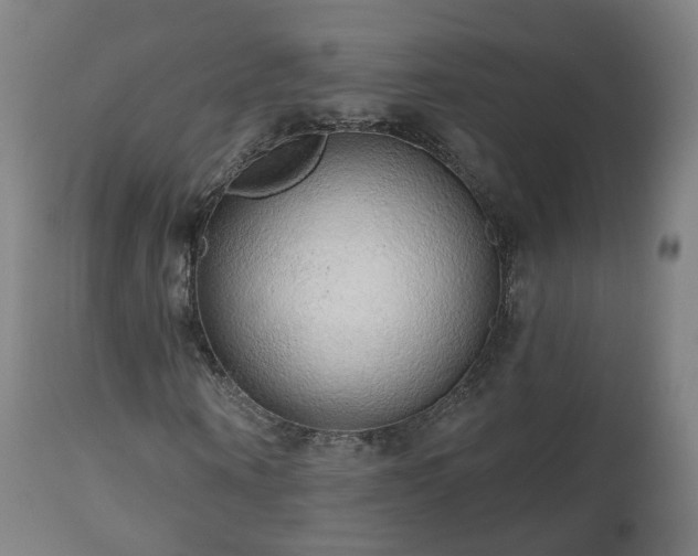 X0000112520866200908241442
