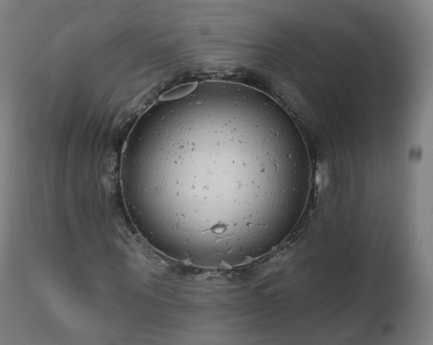 X0000112520867200908241442