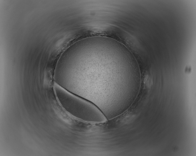 X0000112520868200908241442