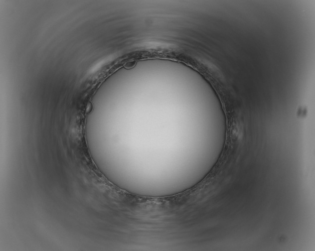 X0000112520869200908241442