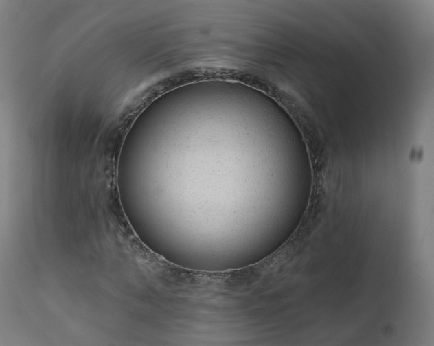 X0000112520870200908241442