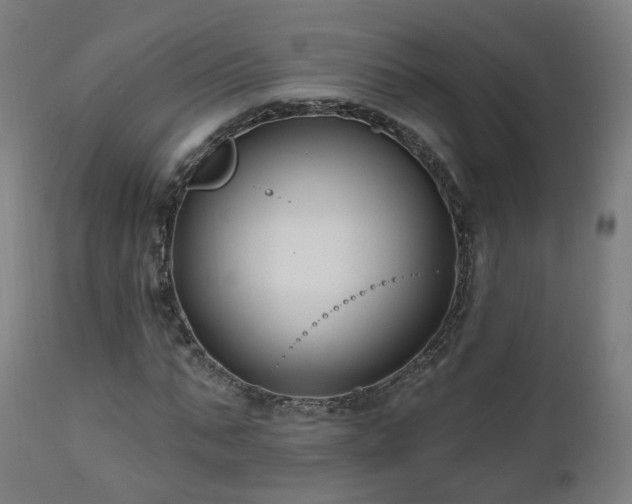 X0000112520871200908241442