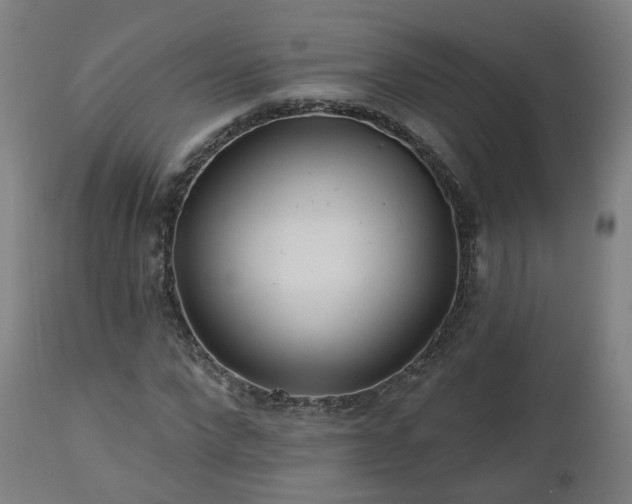 X0000112520872200908241442
