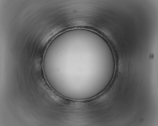 X0000112520873200908241442