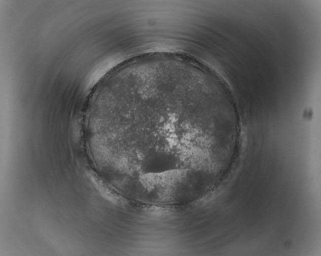X0000112520874200908241442
