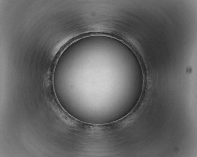 X0000112520875200908241442