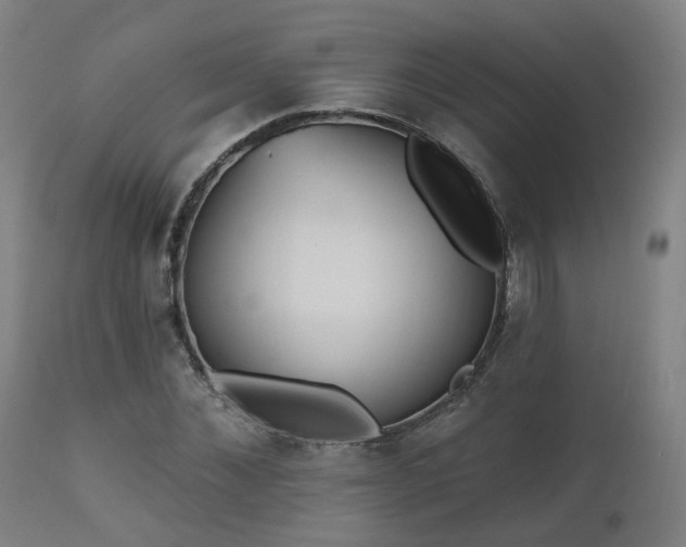 X0000112520876200908241442