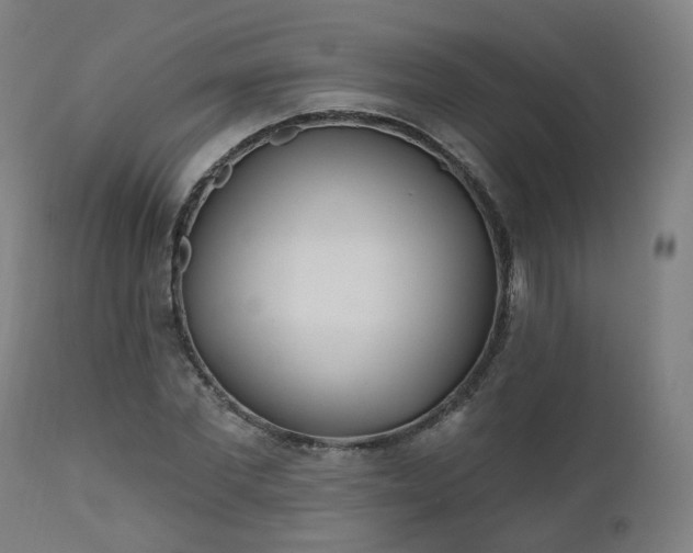 X0000112520877200908241442