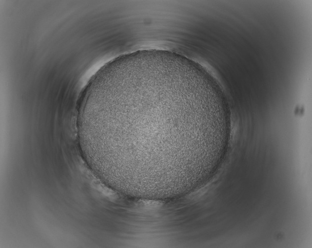 X0000112520878200908241442
