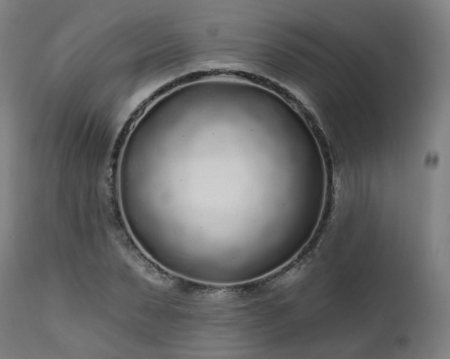 X0000112520879200908241442