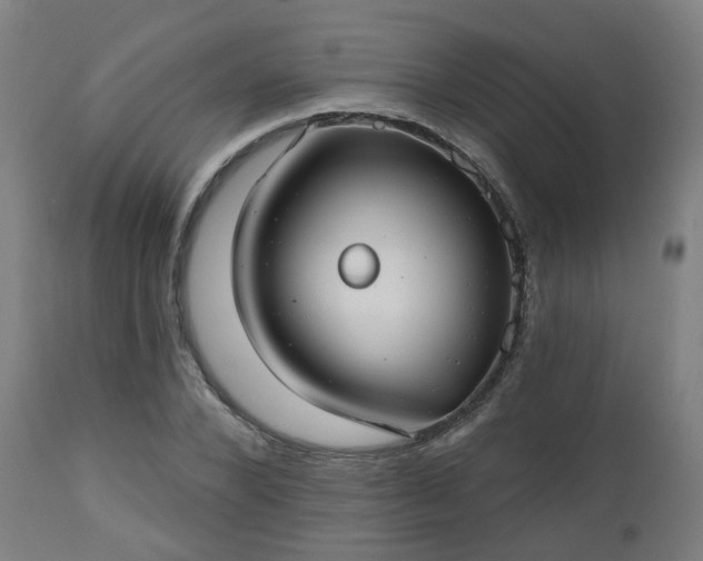 X0000112520880200908241442