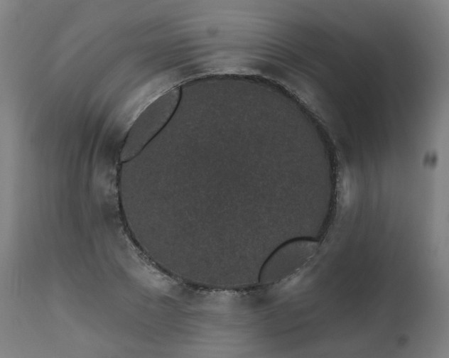 X0000112520881200908241442