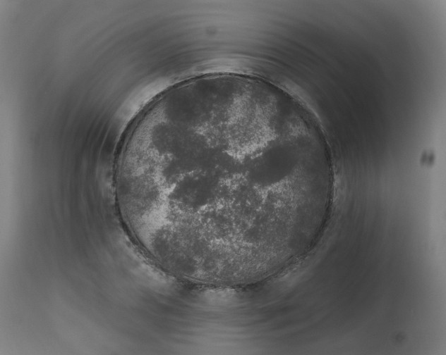 X0000112520882200908241442