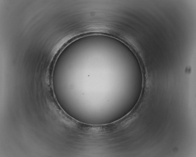 X0000112520883200908241442