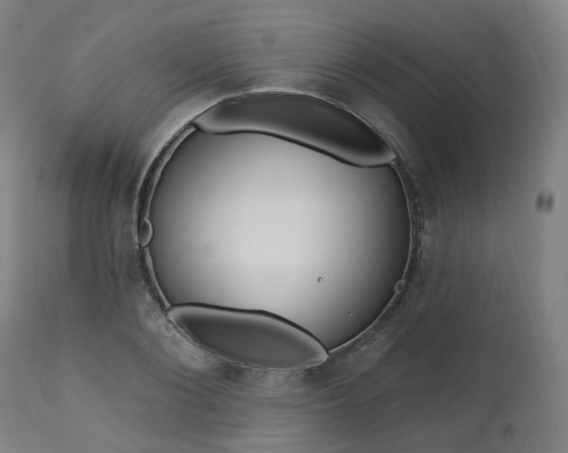 X0000112520884200908241442