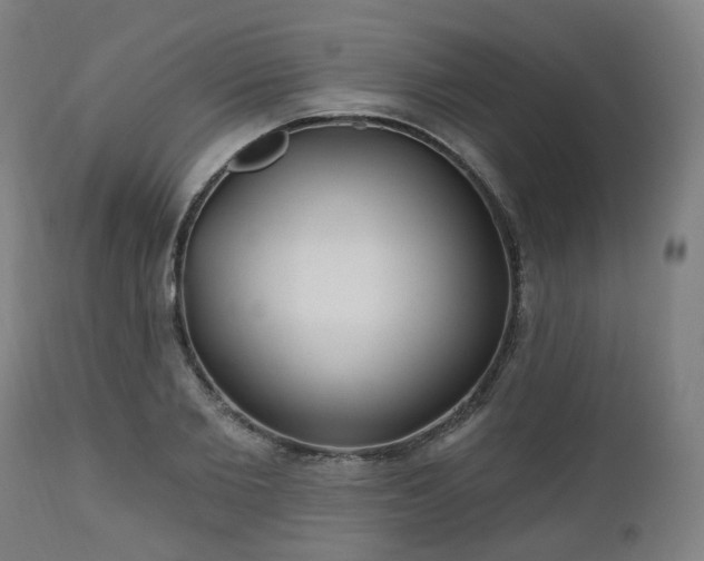 X0000112520885200908241442