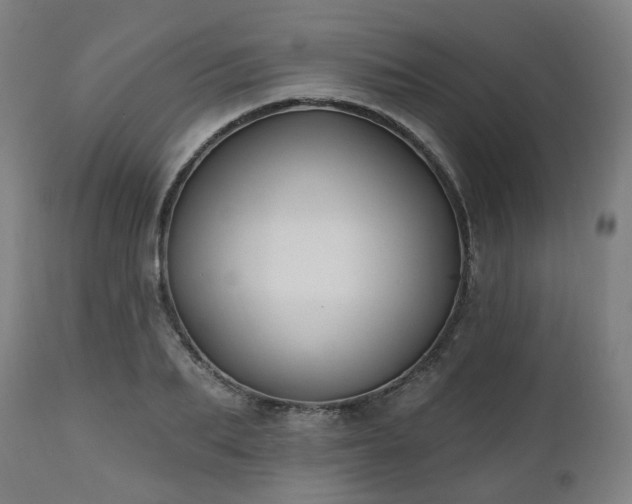 X0000112520887200908241442