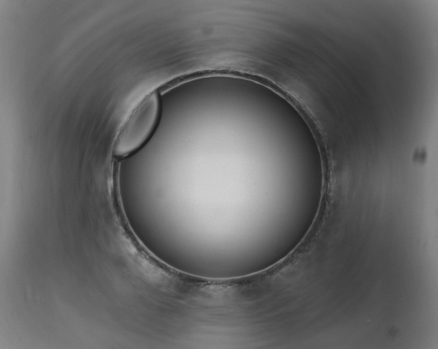 X0000112520888200908241442