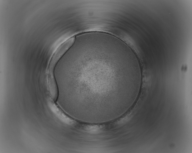 X0000112520892200908241442