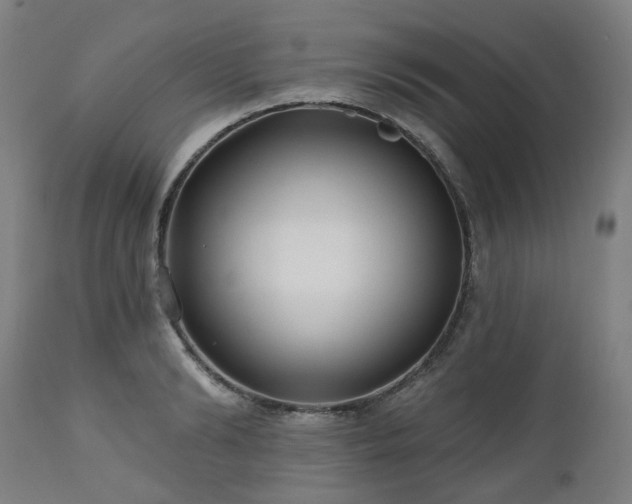 X0000112520894200908241441