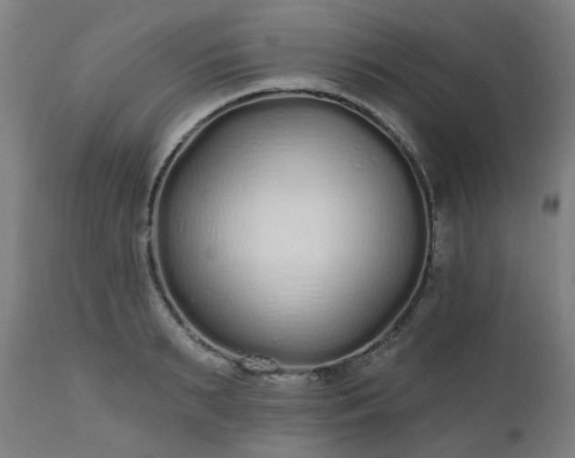 X0000112520895200908241441