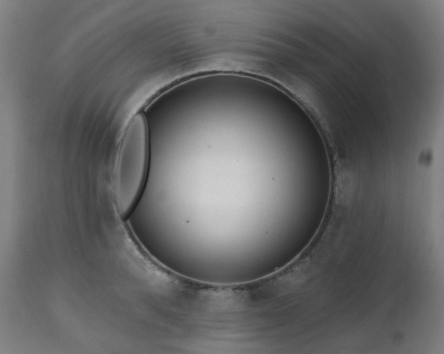 X0000112520896200908241441