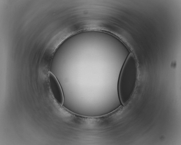 X0000112520897200908241441