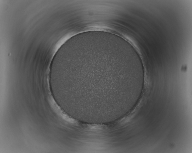 X0000112520899200908241441
