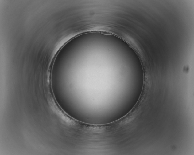 X0000112520900200908241441