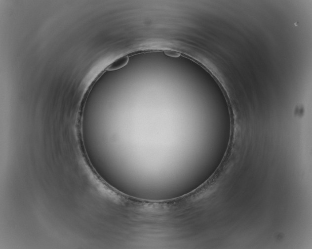 X0000112520901200908241441