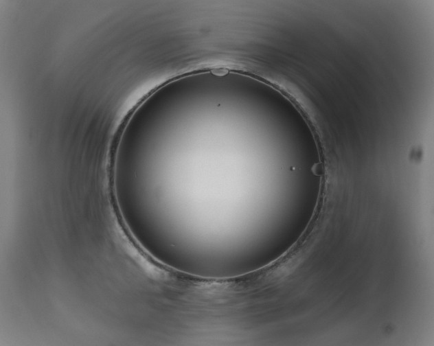 X0000112520902200908241441