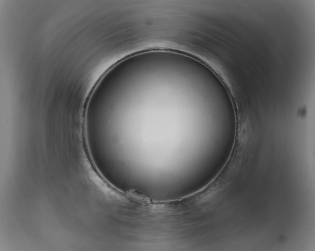X0000112520903200908241441