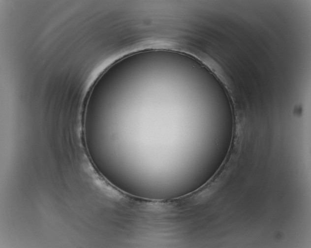 X0000112520904200908241441
