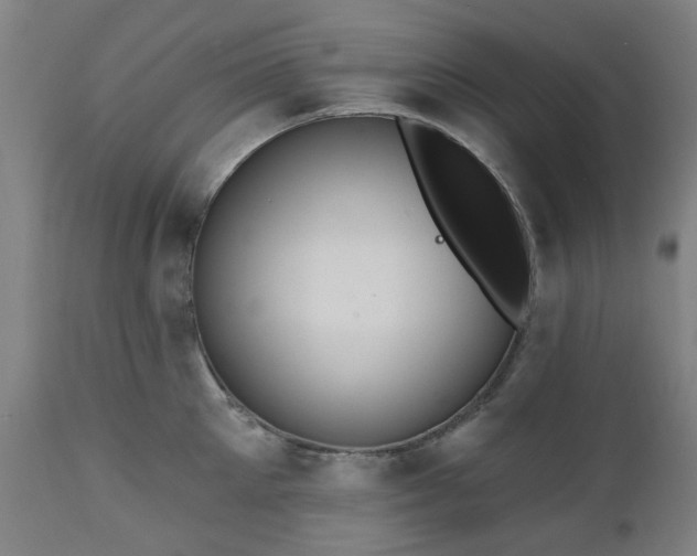 X0000112520905200908241441