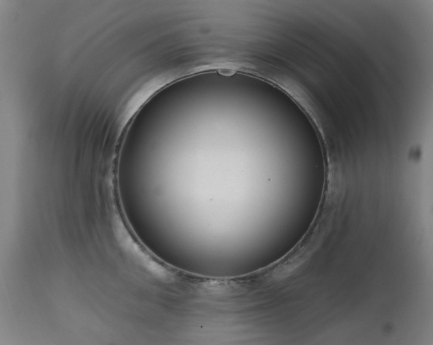 X0000112520906200908241441