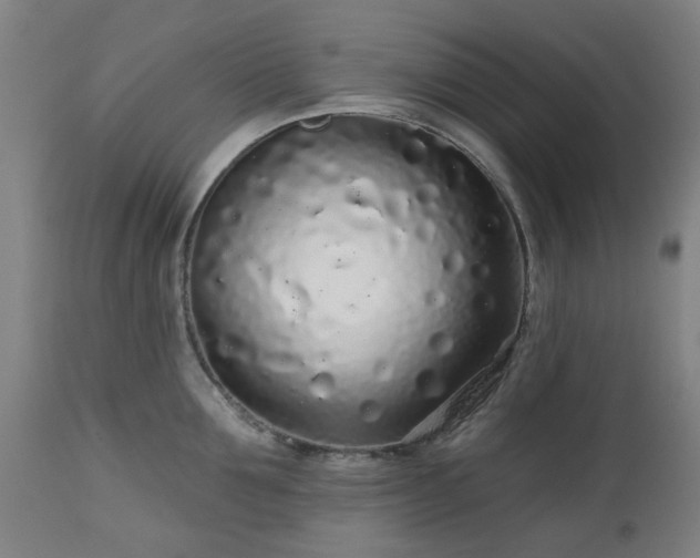 X0000112520907200908241441