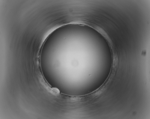 X0000112520908200908241441