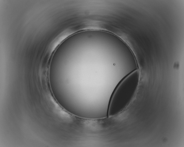 X0000112520909200908241441
