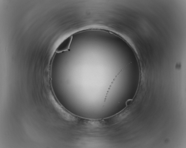 X0000112520911200908241441