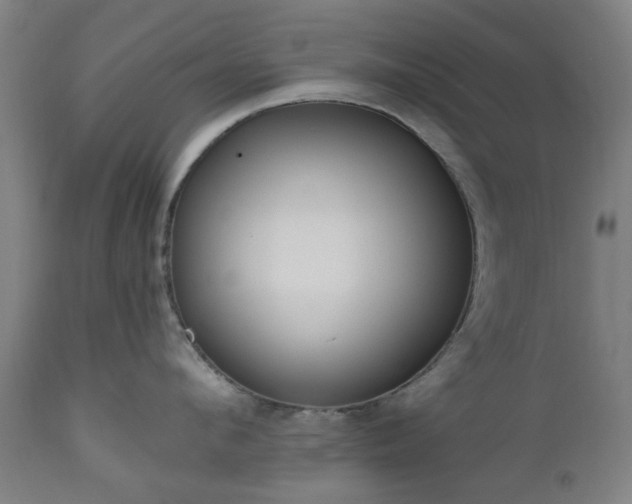 X0000112520912200908241441
