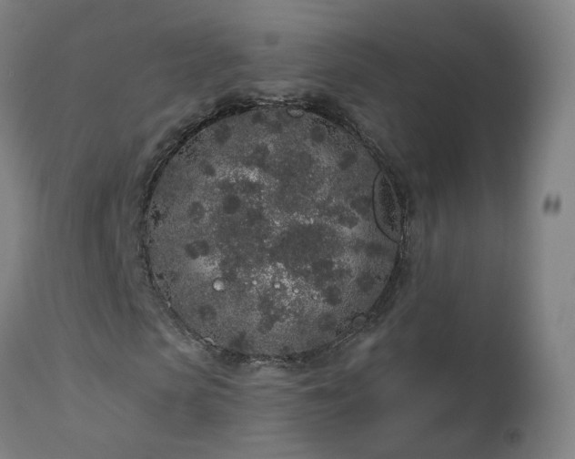 X0000112520913200908241440