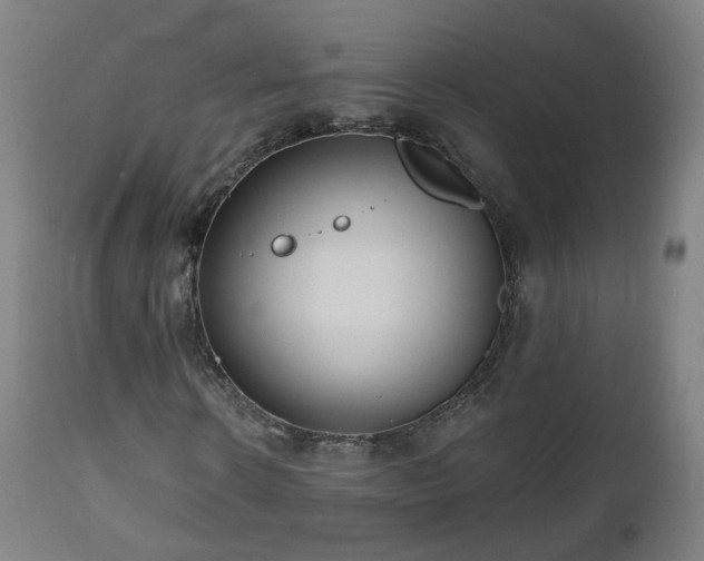 X0000112520914200908241440
