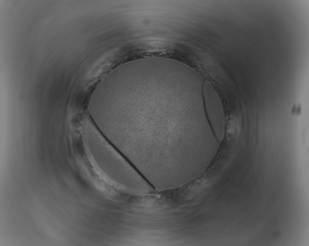 X0000112520916200908241440